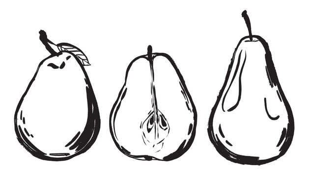 Minimalist botanical art showcasing seeds and skin of pears