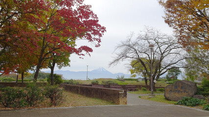 日本：富士山が見える双葉SAのハーブガーデン【中央自動車道】山梨県甲斐市