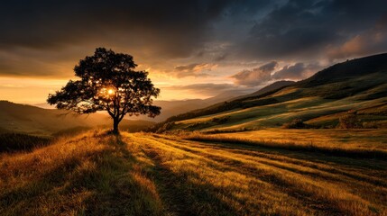 A solitary tree stands in a vast, open field, its silhouette contrasting against the vibrant sunset sky. 