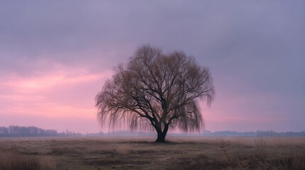 A solitary willow tree stands in a vast, open field under a dramatic, pastel sky with a hint of pink and purple hues, casting a soft, diffused light over the scene.