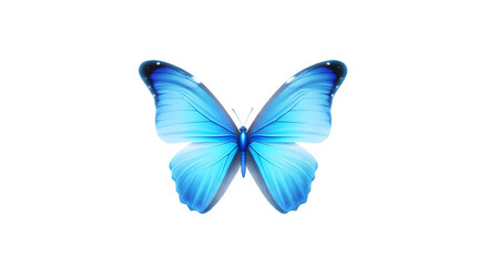 Vibrant blue morpho butterfly with iridescent wings spread wide isolated on transparent background