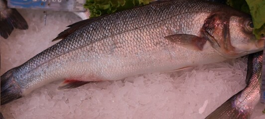 Fresh fish for sale in seafood market