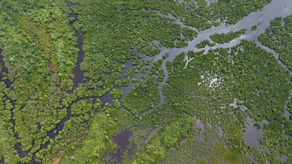 aerial view of the sea