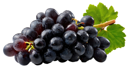 Exquisite Black Grapes Displayed: Close-up of a bountiful cluster of succulent black grapes, their skins glistening invitingly, accompanied by vibrant green leaf.