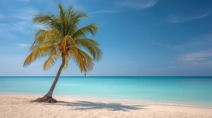 A lone palm tree stands on a sandy beach, with a clear blue sky and turquoise ocean in the background.