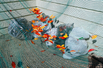 ゴミ集積所のゴミと鳥よけネット