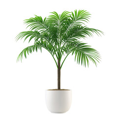 Obraz premium Lush Green Indoor Palm Plant in White Pot on Transparent Background