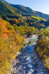 付知峡　攻橋付近の紅葉（岐阜県中津川市）