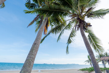 Beautiful sea summer ,Sand beach background