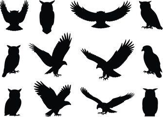 Bird of prey silhouettes, eagle and owl poses, flying and perched vector set, wildlife icon pack, black avian shape illustration, raptor design collection