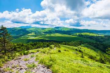 Obraz premium 鷲ヶ峰 トレッキング 八島ヶ原湿原