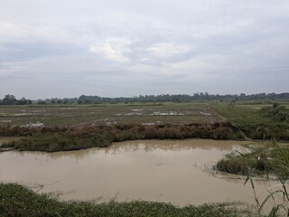 Overcast day over a flooded field with standing water and vegetation.