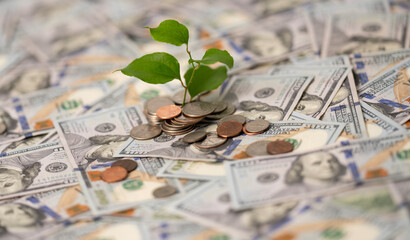 Deposit and savings symbol with capital growth concept. Credit and loan planning idea with money...