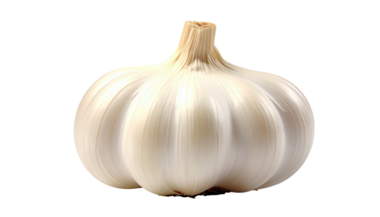 A singular, bulbous garlic head with white cloves and a stem, isolated against a black backdrop