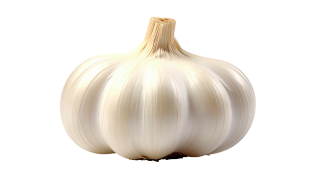 A singular, bulbous garlic head with white cloves and a stem, isolated against a black backdrop