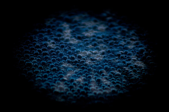 Water bubbles on a dark background,blue abstract background.