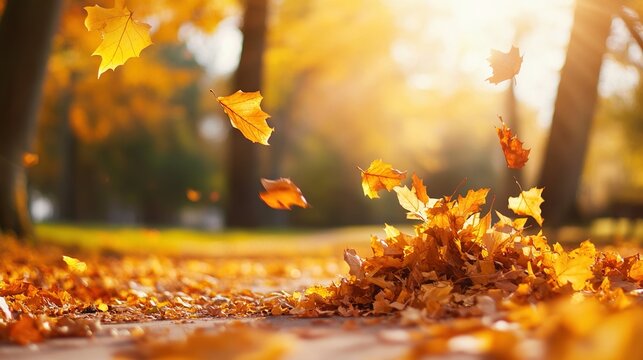 breeze. Autumn wind blowing a pile of golden leaves along a park path with motion blur. representing seasonal cycles and harvest abundance.