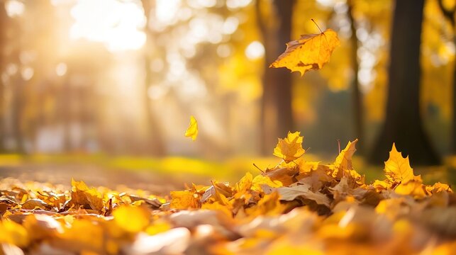 breeze. Autumn wind blowing a pile of golden leaves along a park path with motion blur. representing seasonal cycles and harvest abundance.