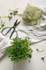 Composition with fresh micro green sprouts, napkin and scissors on light wooden background