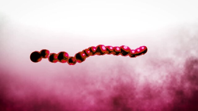 Generic Bacteria in the Human Body