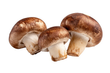 Fototapeta premium Three brown cremini mushrooms with white stems on black background image 1, Png, Isolated on Transparent Background, Cut Out