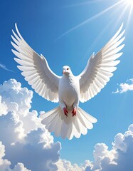Obraz premium A white dove soars gracefully against a bright, sunny blue sky filled with fluffy white clouds, representing peace