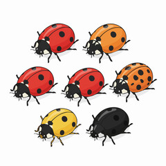 A set of different kinds of ladybird, ladybug, beetle © WealthyMinion