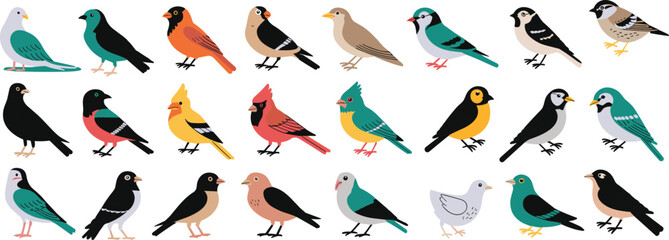 Fototapeta premium Colorful cartoon birds in various poses and species, vibrant feathered wildlife vector set for nature, education, decor, animal identification, and seasonal themes
