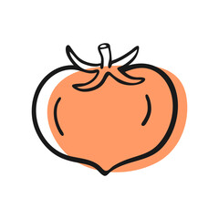 Hand Drawn Doodle Tomato