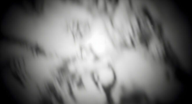 Dynamic monochrome blur captures intense, chaotic movement and indistinct figures, evoking an urgent sense of historical struggle or a dramatic, emotionally charged public event