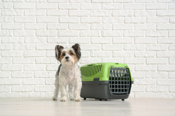 Cute Biewer Terrier dog and pet carrier near white brick wall