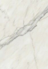 Obraz premium Natural White Marble Surface With Veins - Luxurious white marble with subtle grey veins. Symbolizes elegance, purity, sophistication, resilience, and timeless beauty.