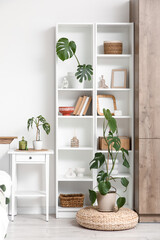 Shelving unit, bedside table and Monstera houseplants in bedroom