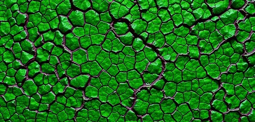 Intricate network of veins, bumpy surface, vibrant green hue,   smooth,   natural texture