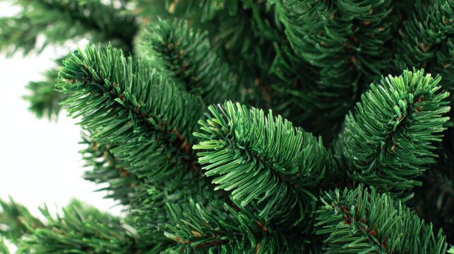 Close-Up of a Lush Green Evergreen Tree, Perfect for Christmas and Holiday Season Decor - Powered by Adobe