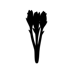 vector silhouette of a flower