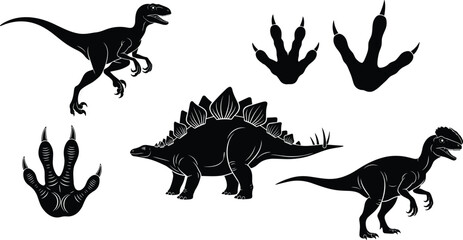 Dinosaur silhouettes and footprints set featuring Velociraptor, Stegosaurus, Pachycephalosaurus in dynamic poses with prehistoric track marks vector illustration © anisur-creatives