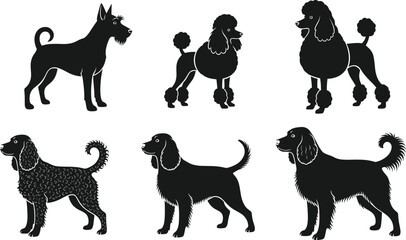 Dog Breed Silhouette Vector Set Featuring Schnauzer, Poodle, Spaniel in Side Profile for Pet, Animal, Grooming, and Design Themes