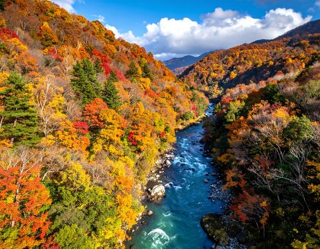 Aerial view of vibrant autumn foliage flanking a river