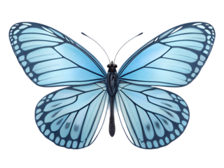 Beautiful blue butterfly isolated on transparent background