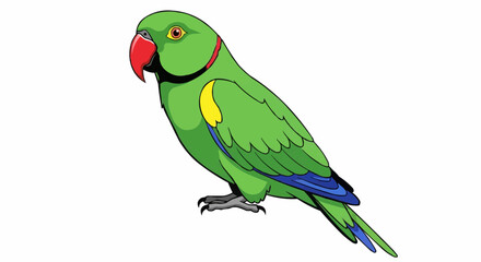 parrot on a white background