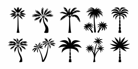 Collection of diverse black palm tree silhouettes on a white background for design elements