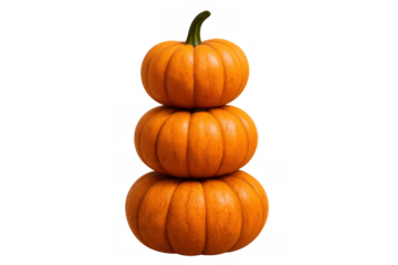 Three orange pumpkins stacking vertically, autumn harvest decoration, creating a festive halloween season display on a transparent background
