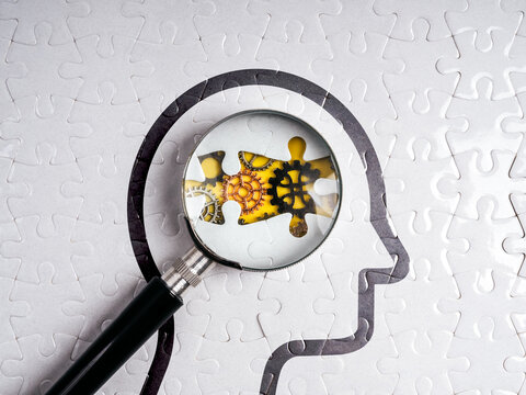 Conceptual image showing human head puzzle with magnifying glass focus on colorful gears inside, symbolizing mental process, problem solving, psychology, critical thinking, and cognitive development. - Powered by Adobe