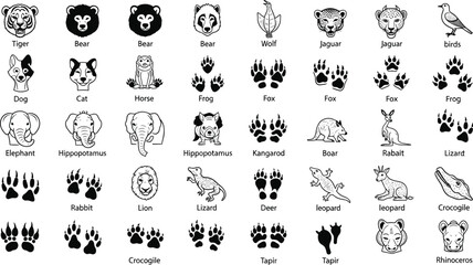 Animal faces, paw prints, wildlife chart, educational grid, zoo species, nature icons, kids learning, animal identification, colorful design © Joyaber's World