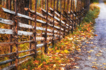 Old wooden roundpole fence, a traditional Northern European rural fence style, along autumn country road