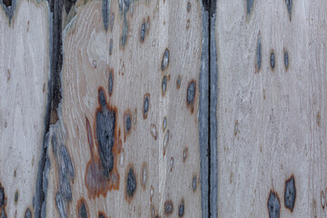 An old wooden surface with a natural grain. Construction and renovation. Background. Space for text.