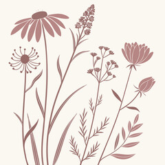 Elegant wildflower illustration isolated on, capturing the beauty of nature with diverse blooms and a delicate, vintageinspired design