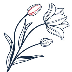 Elegant tulip flower illustration isolated on, showcasing delicate petals and graceful lines, perfect for adding a touch of nature to any design project