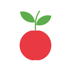 Red Apple with Leaves Vector Illustration – Fresh Fruit Icon